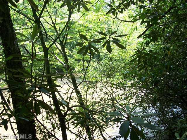 0 Gene Culler Road Dobson, NC 27017 - Photo 6 of 7 Land. Great place for a home or weekend get away.
