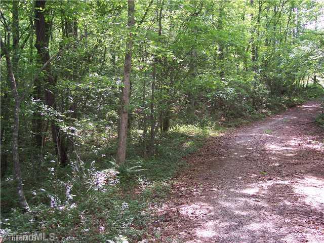 0 Gene Culler Road Dobson, NC 27017 - Photo 7 of 7 Land. Road to property