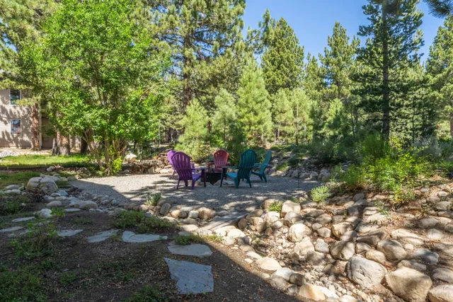 a view of a park with large trees