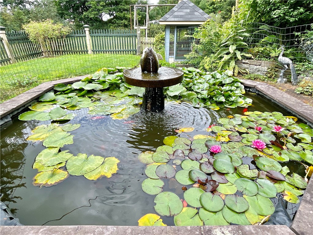 13565 State Highway Oneonta, NY 13820 - Photo 47 of 50 Koi Pond