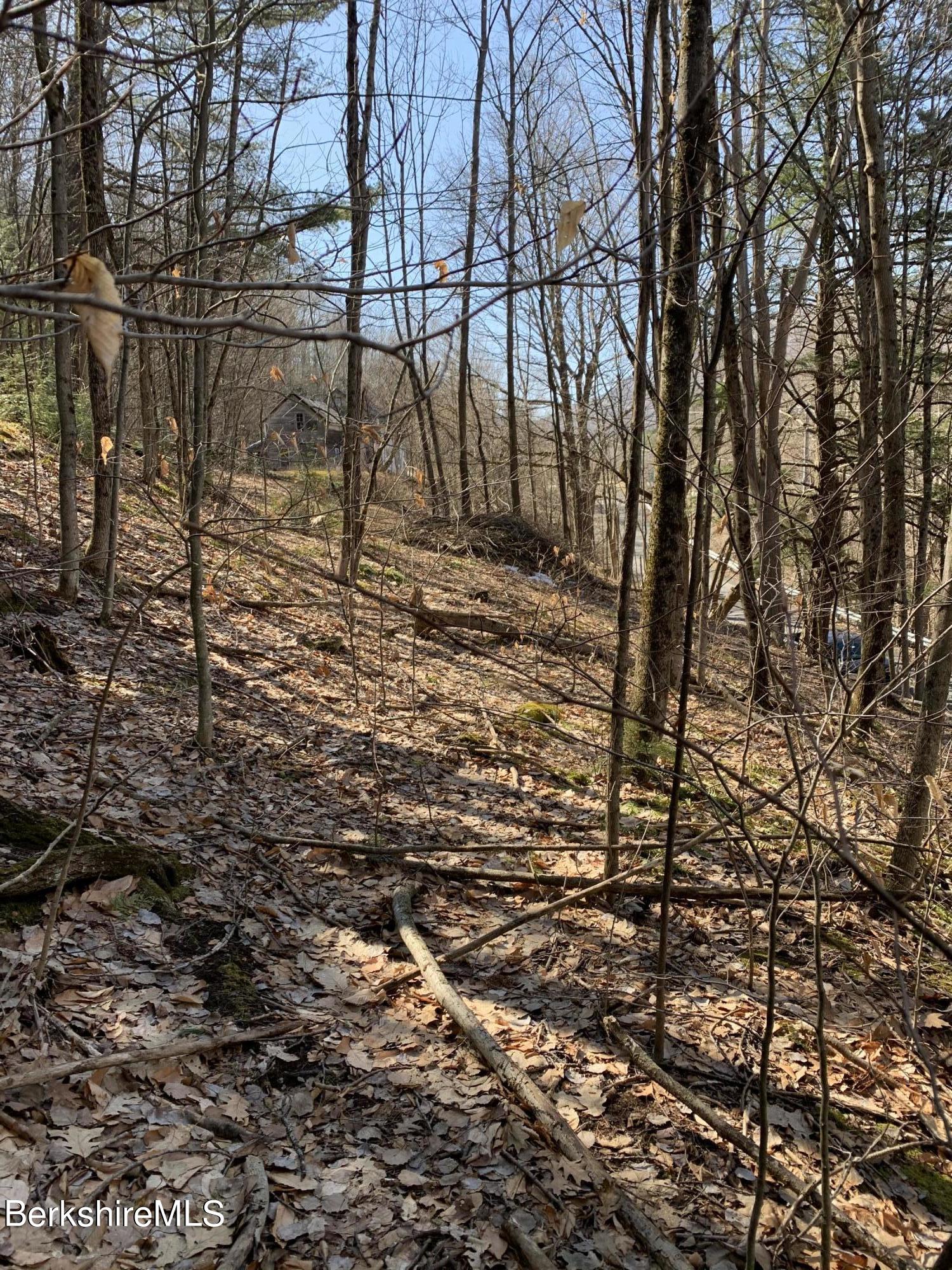 Lot 17 A Reservoir Road North Adams, MA 01247 - Photo 4 of 7 a view of yard