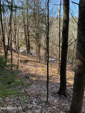 a view of a city with lots of trees