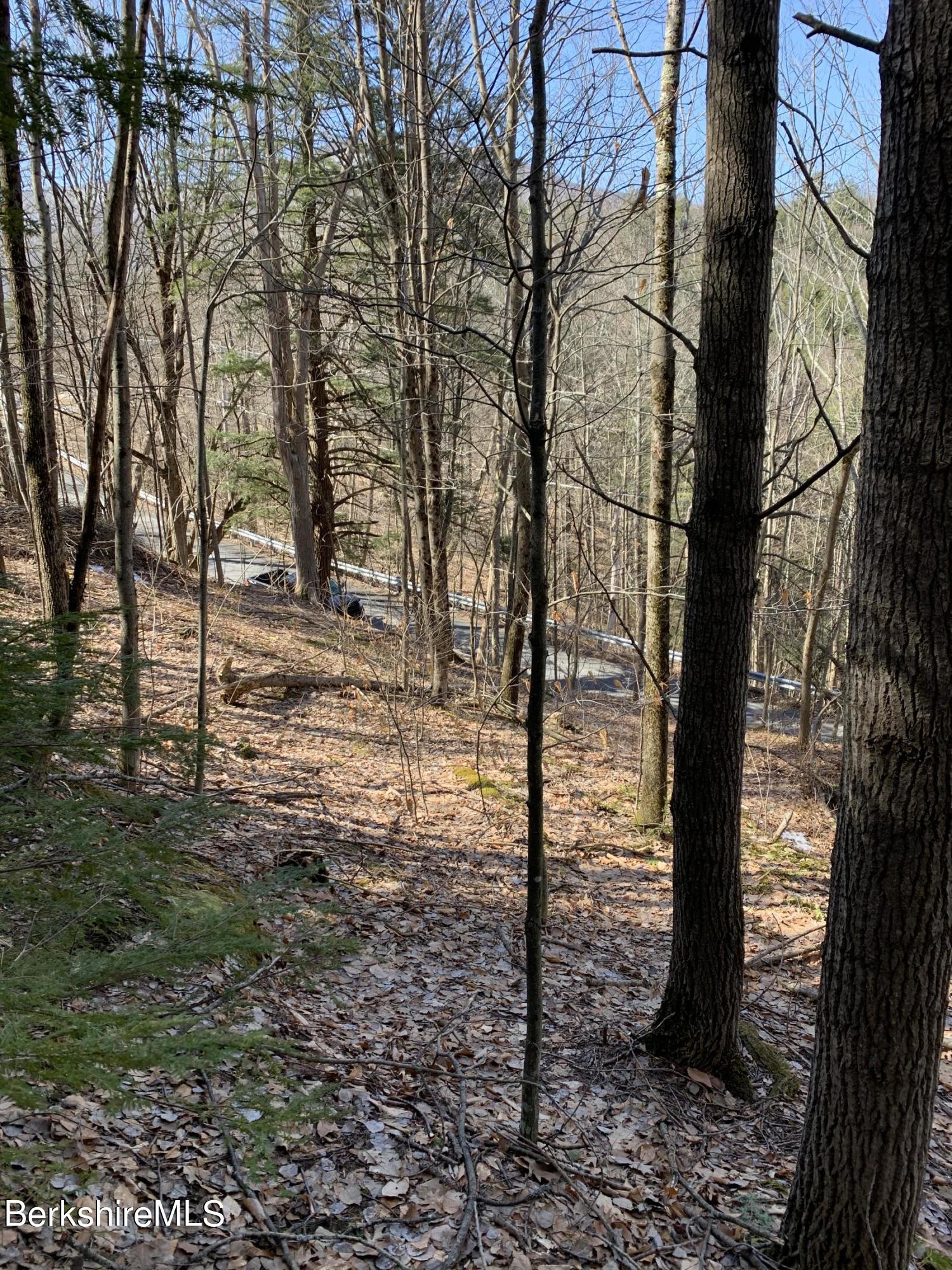 Lot 17 A Reservoir Road North Adams, MA 01247 - Photo 5 of 7 a view of a yard with large tree