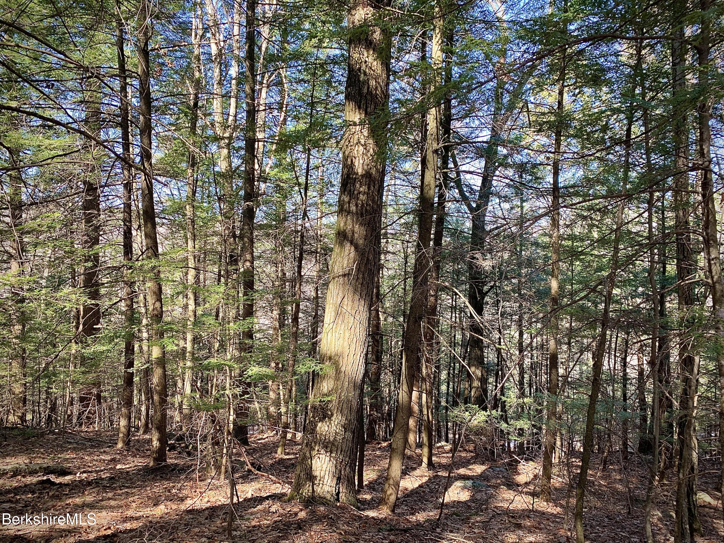 Lot 17 A Reservoir Road North Adams, MA 01247 - Photo 6 of 7 a view of a city with lots of trees