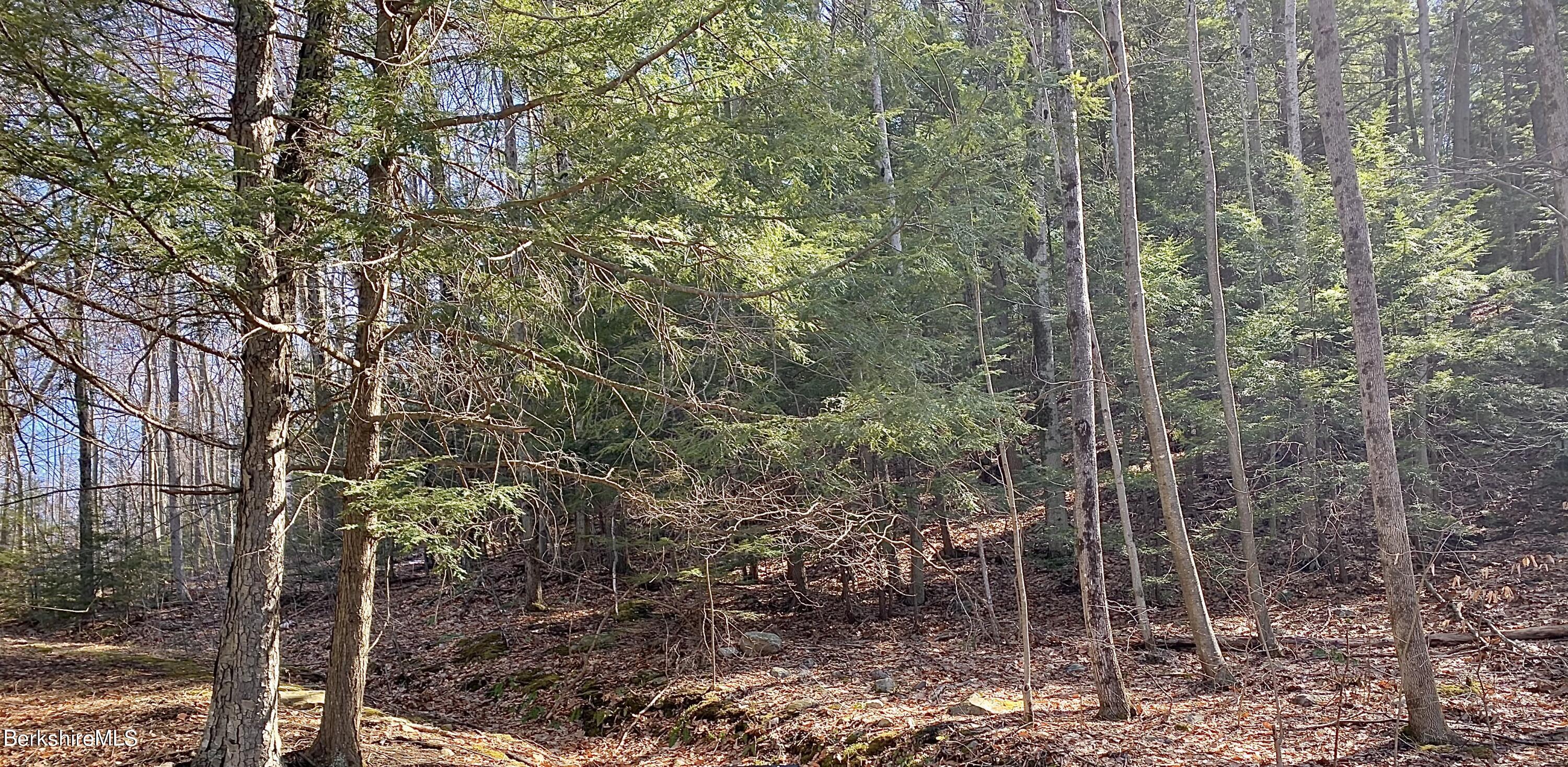 Lot 17 A Reservoir Road North Adams, MA 01247 - Photo 7 of 7 a view of a forest