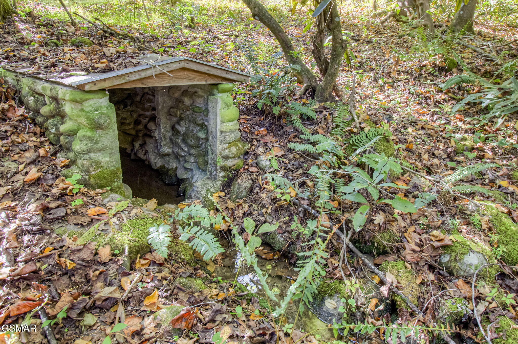 547 Rocky Flats Road Cosby, TN 37722 - Photo 4 of 36 Gallery Image 4