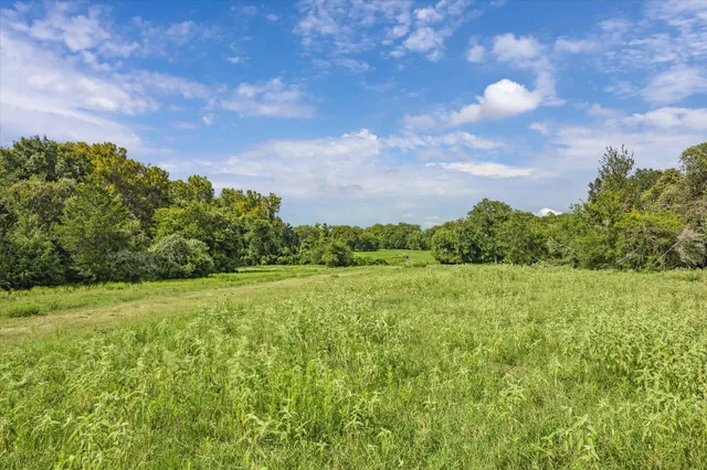 a view of a back yard of the house
