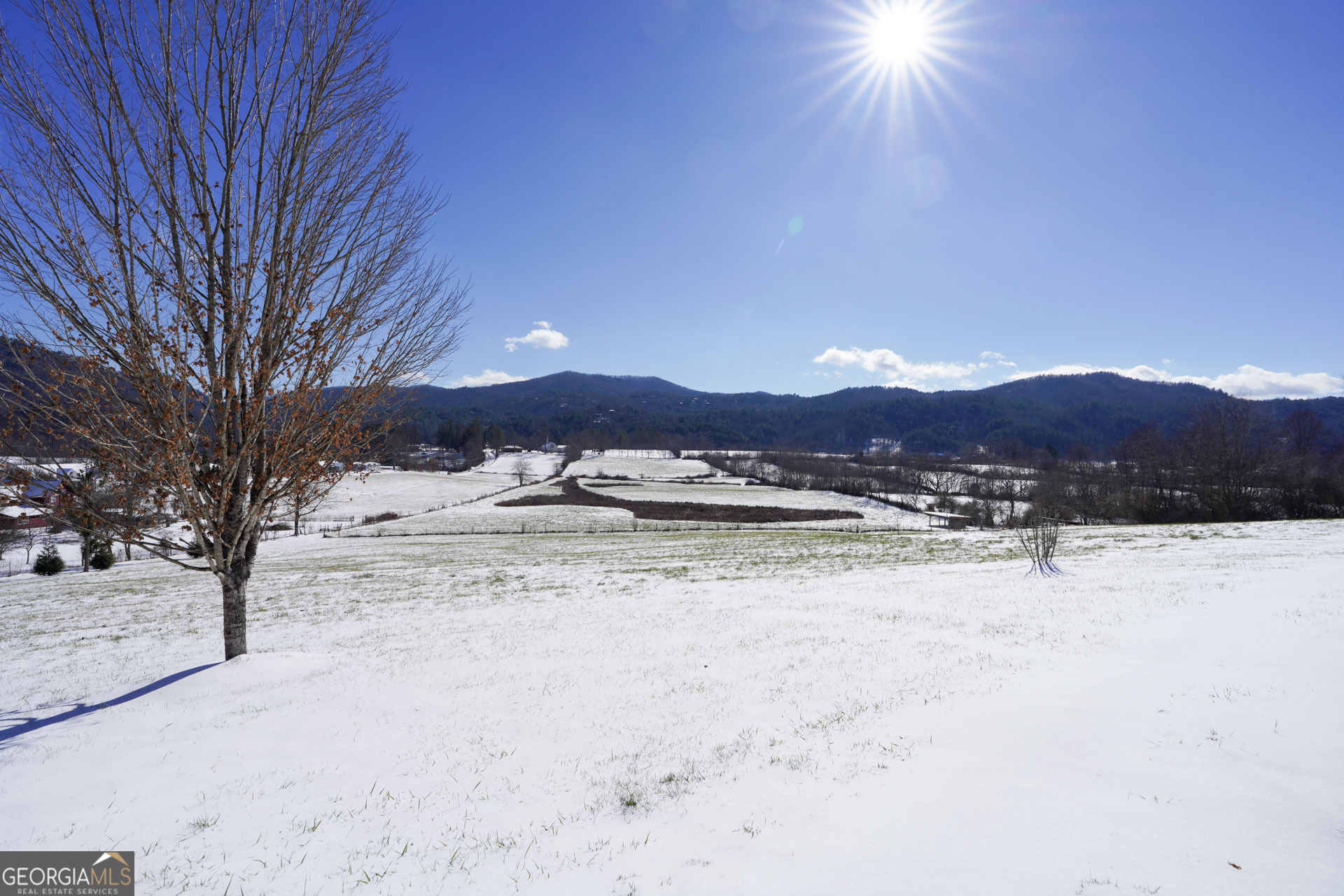 5192 Wolffork Road Rabun Gap, GA 30568 - Photo 12 of 63 a view of large yard with a tree