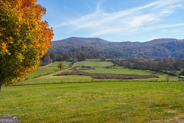 a view of a lush green hillside and houses