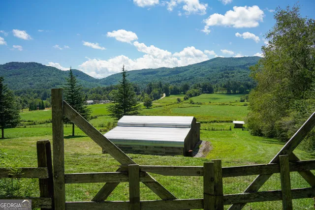 a view of a field with an trees