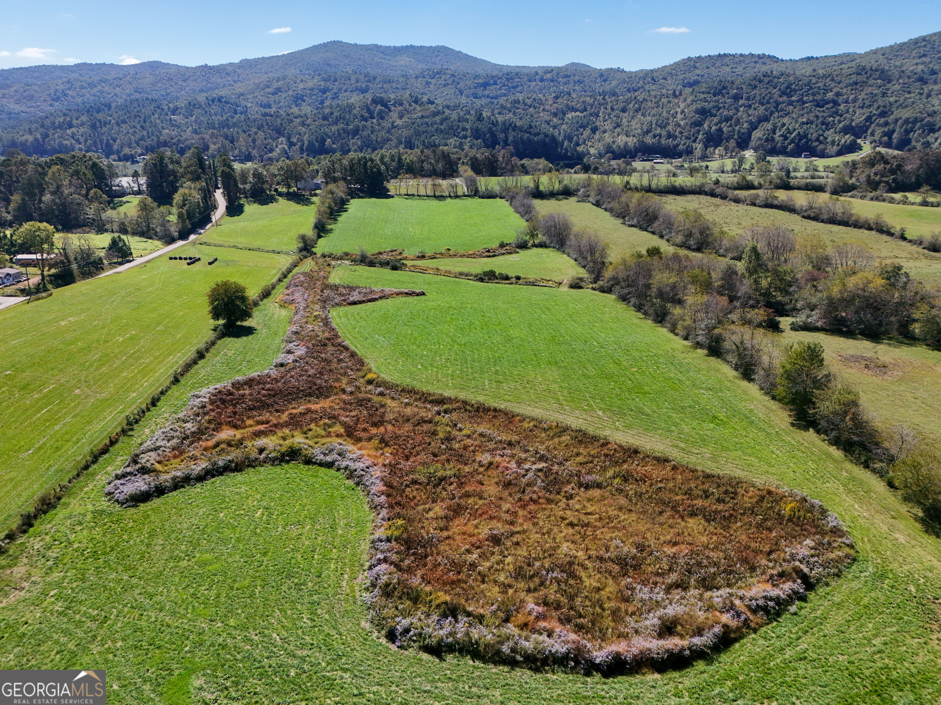 5192 Wolffork Road Rabun Gap, GA 30568 - Photo 25 of 63 a view of a lush green hillside and houses