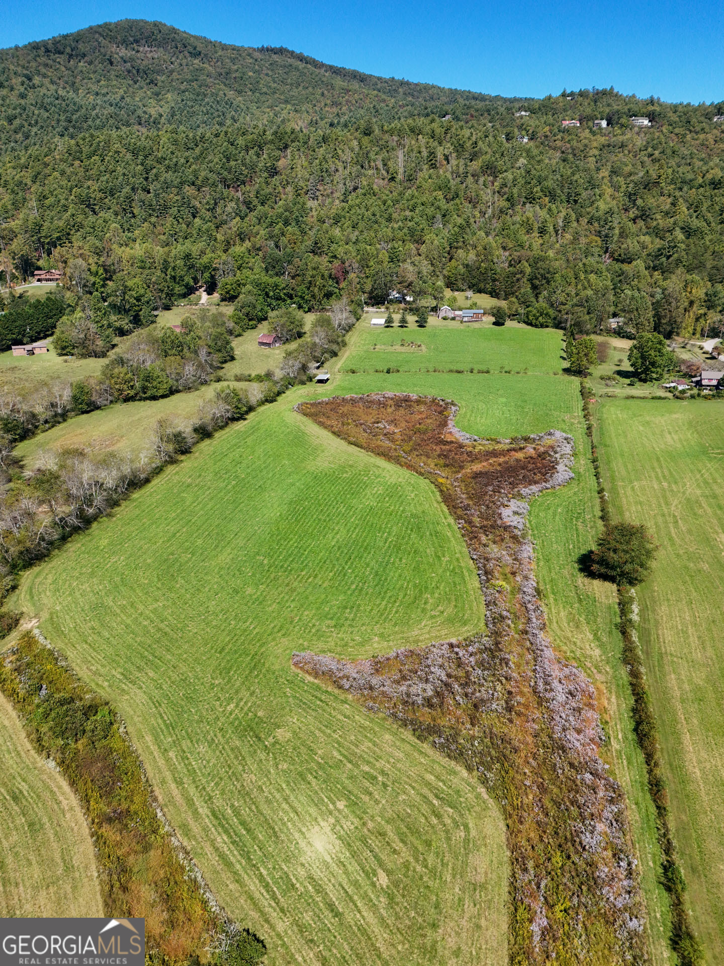 5192 Wolffork Road Rabun Gap, GA 30568 - Photo 27 of 63 a view of a field with an trees