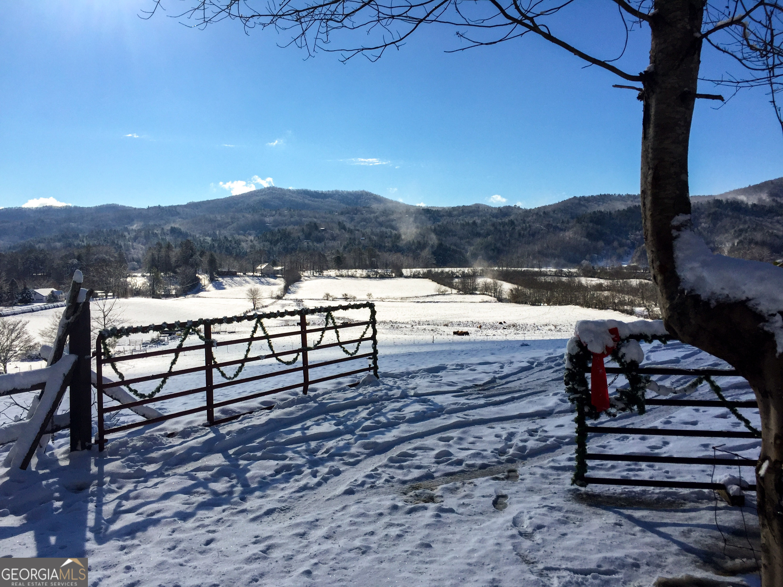 5192 Wolffork Road Rabun Gap, GA 30568 - Photo 28 of 63 a view of a terrace with a bench