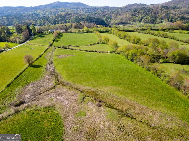 a view of a field with an ocean