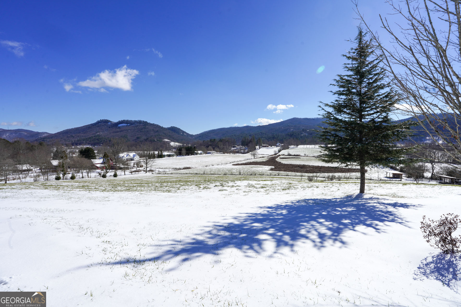5192 Wolffork Road Rabun Gap, GA 30568 - Photo 41 of 63 a view of a yard with a large tree