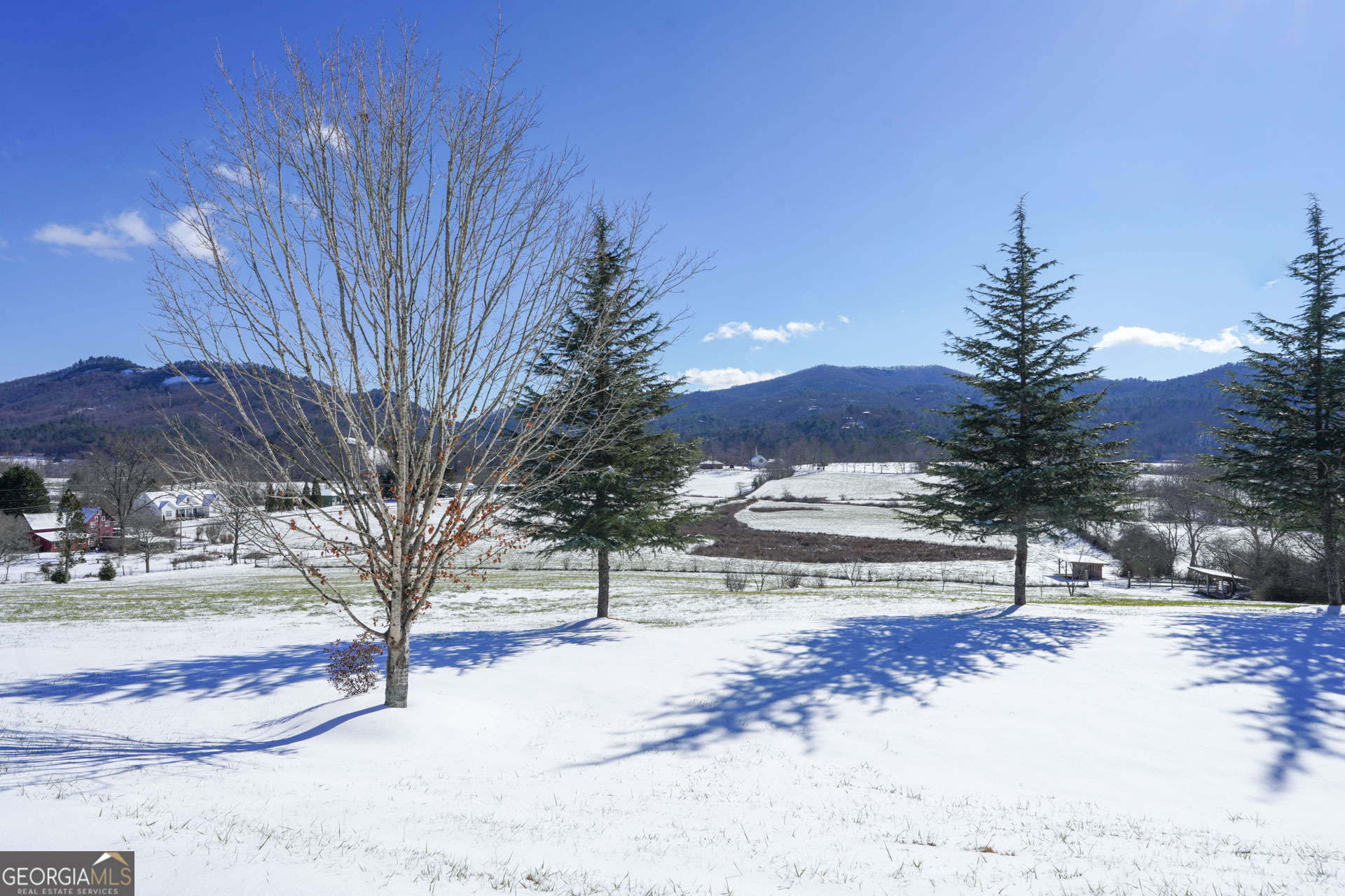 5192 Wolffork Road Rabun Gap, GA 30568 - Photo 42 of 63 a view of a yard with a tree