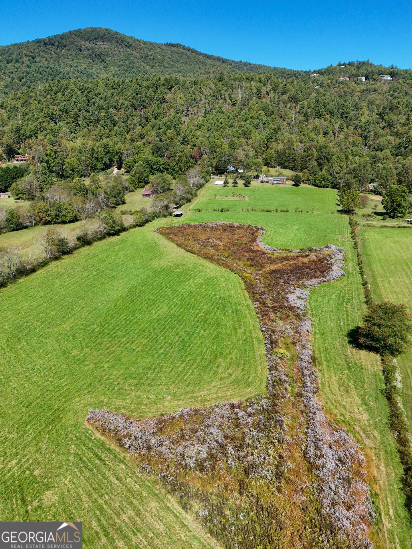 5192 Wolffork Road Rabun Gap, GA 30568 - Photo 44 of 63 a view of a field with an ocean