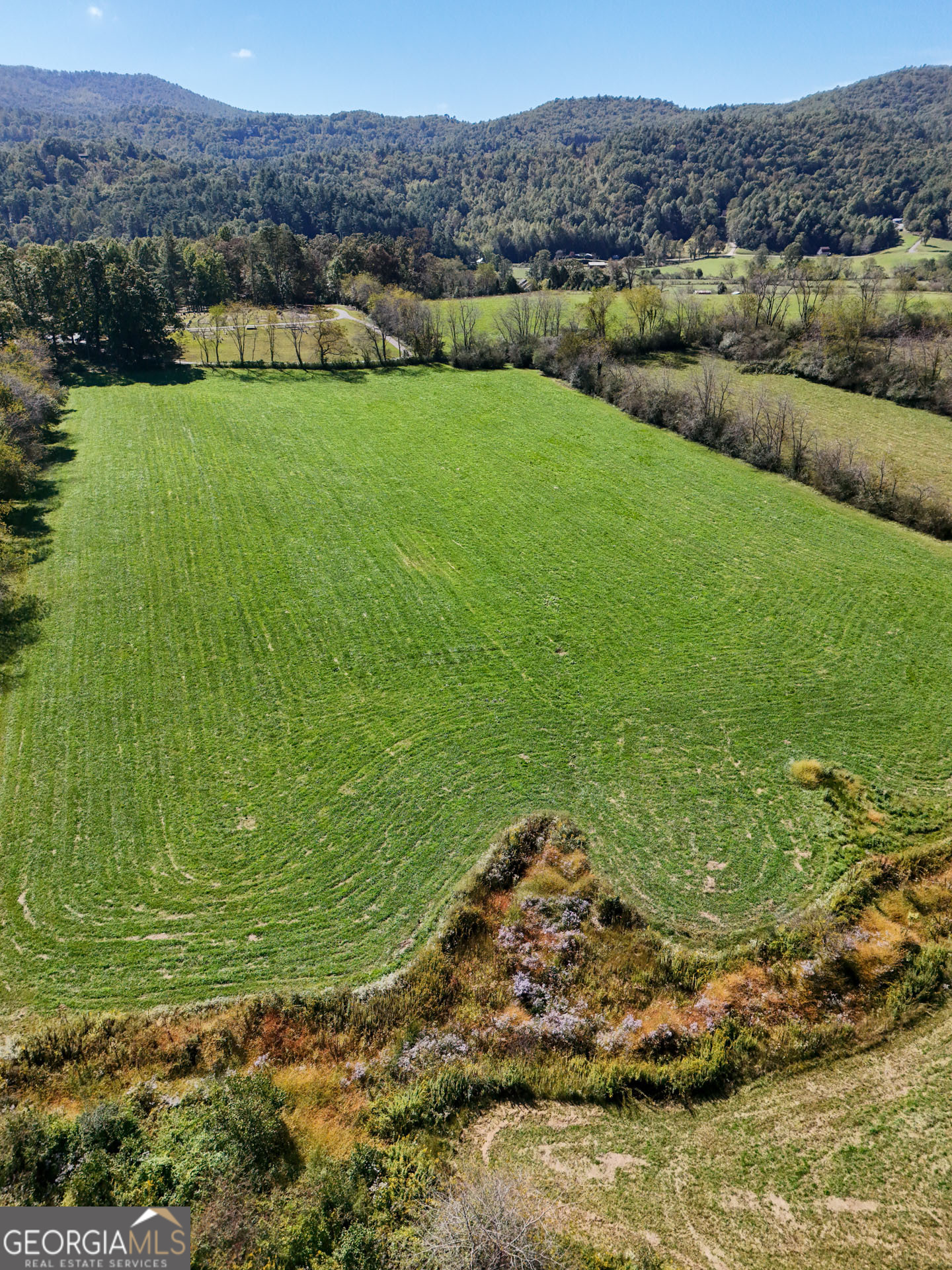 5192 Wolffork Road Rabun Gap, GA 30568 - Photo 63 of 63 a view of a grassy area with an ocean