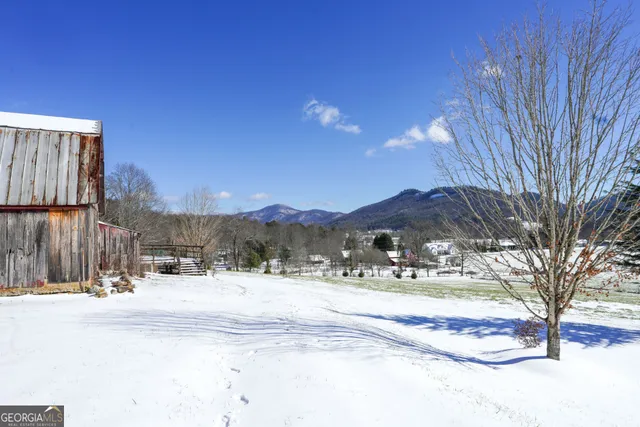 a view of large yard with a tree