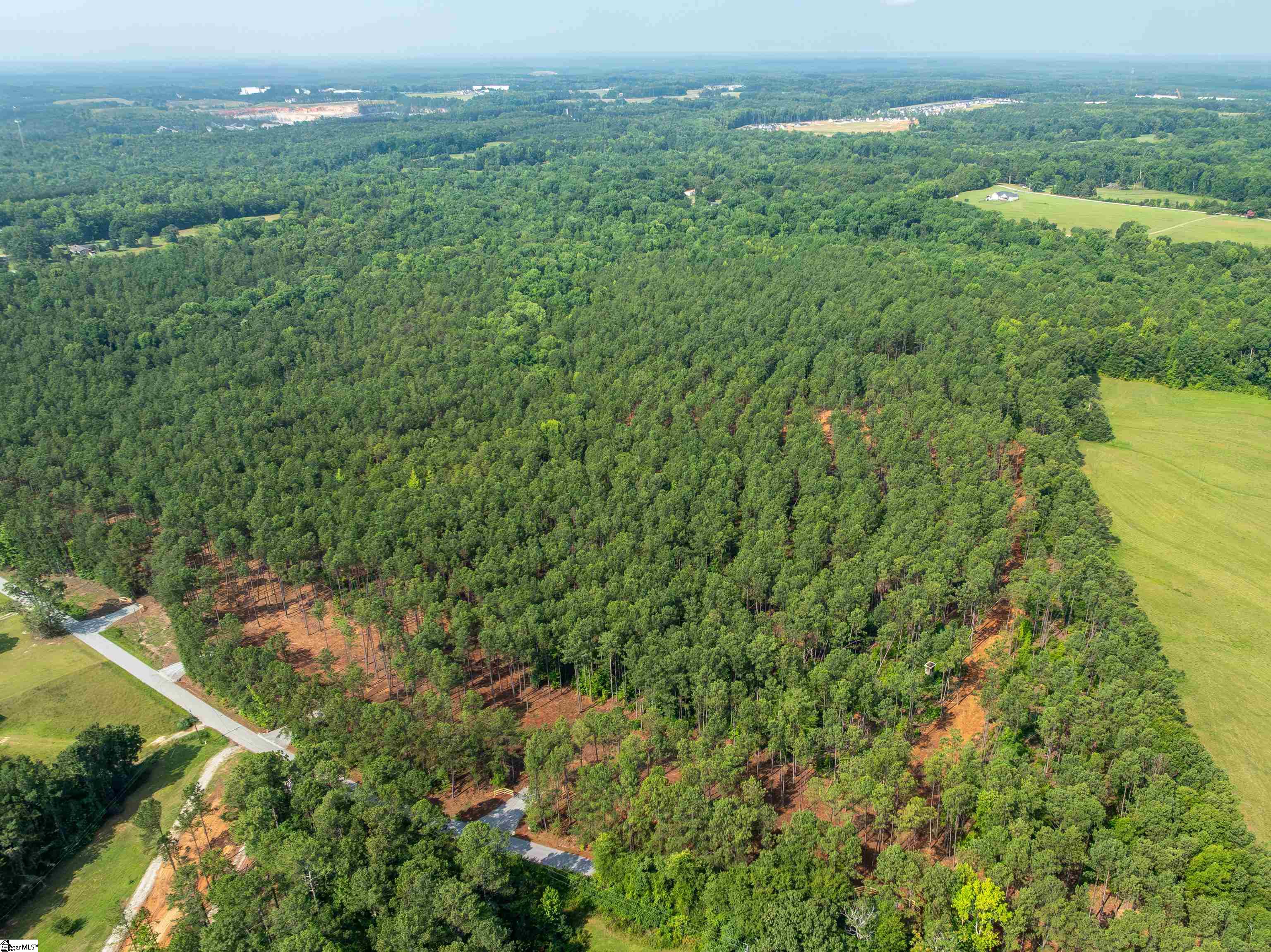 0 Cheek Road, Unit LOT 10 Gray Court, SC 29645 - Photo 2 of 21 Gallery Image 2