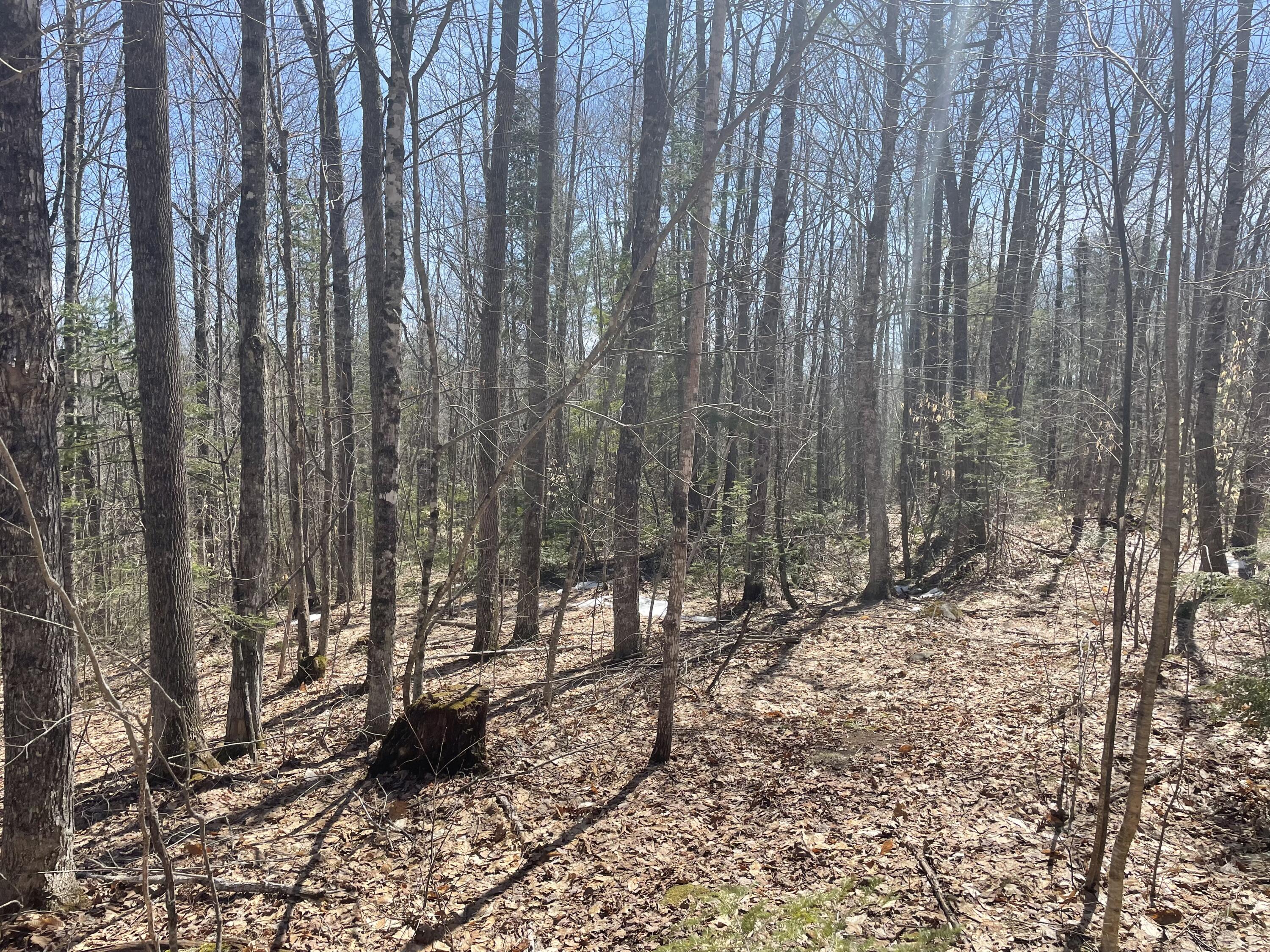 R6-lot50a Adams Road Chesterville, ME 04938 - Photo 1 of 13 IMG_2889