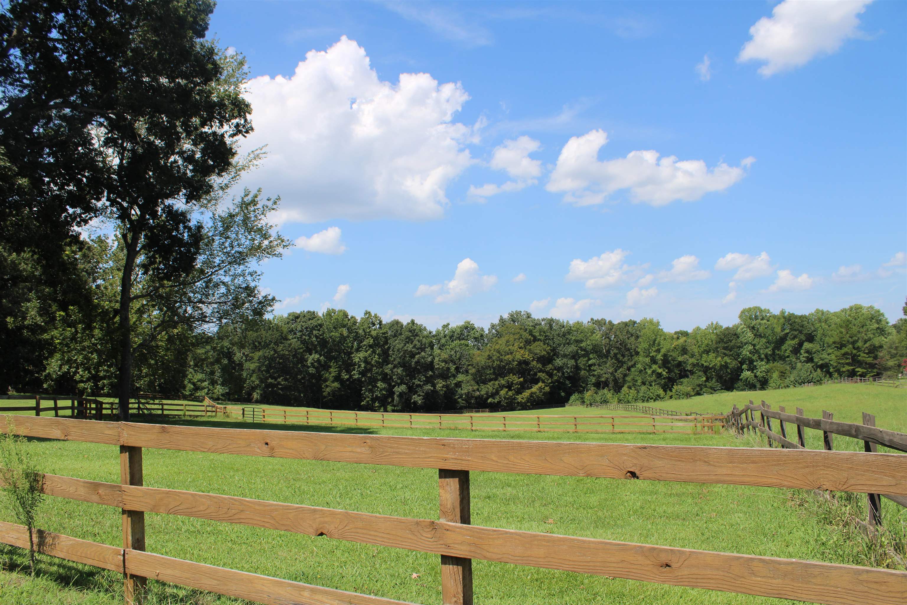 675 Old Mill Road Campobello, SC 29322 - Photo 17 of 24 Gallery Image 17