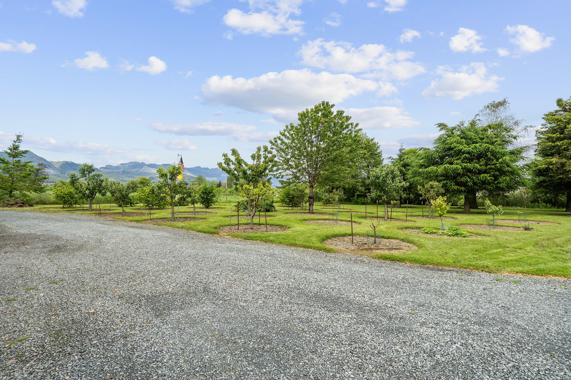 15885 Tideland Road Nehalem, OR 97131 - Photo 44 of 51 DSC04475