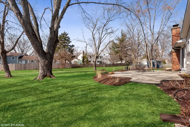 a view of yard with tree s