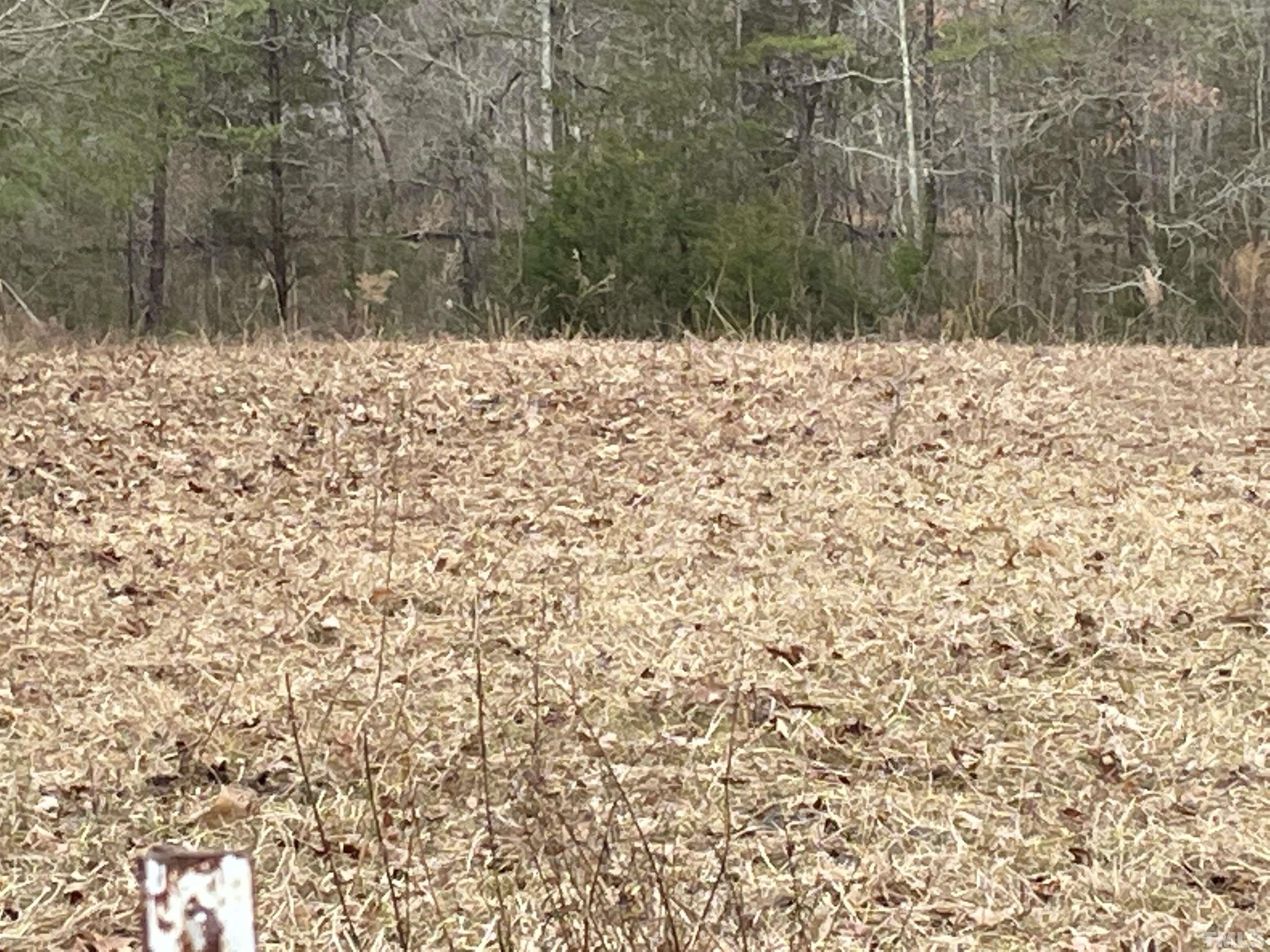 0 Preacher Hayes Road Mebane, NC 27302 - Photo 5 of 15 Gallery Image 5