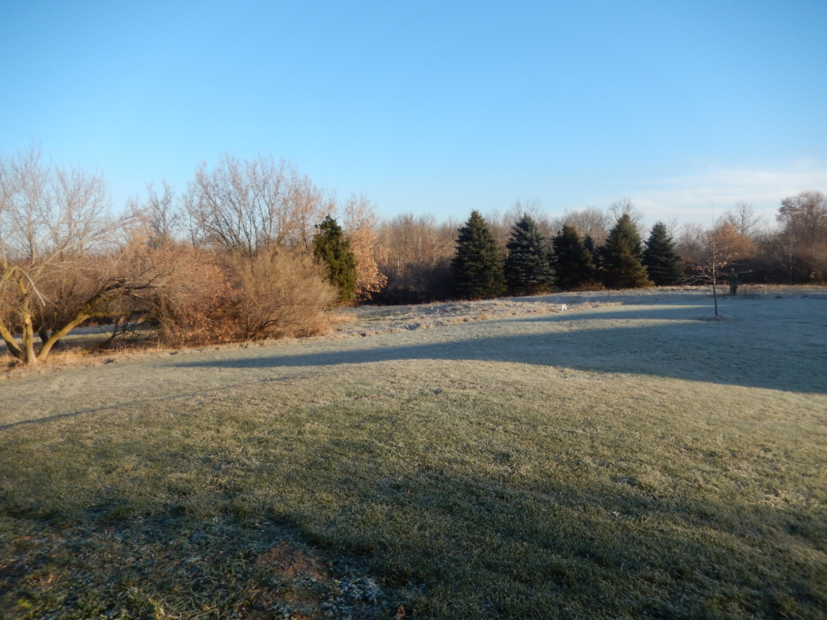 6905 Solomon Road Middleville, MI 49333 - Photo 3 of 39 DSCN0325