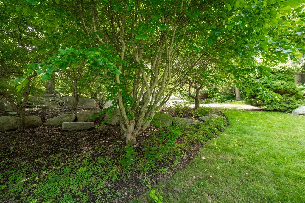 143 Thatcher Road Gloucester, MA 01930 - Photo 17 of 23 a view of a lush green forest