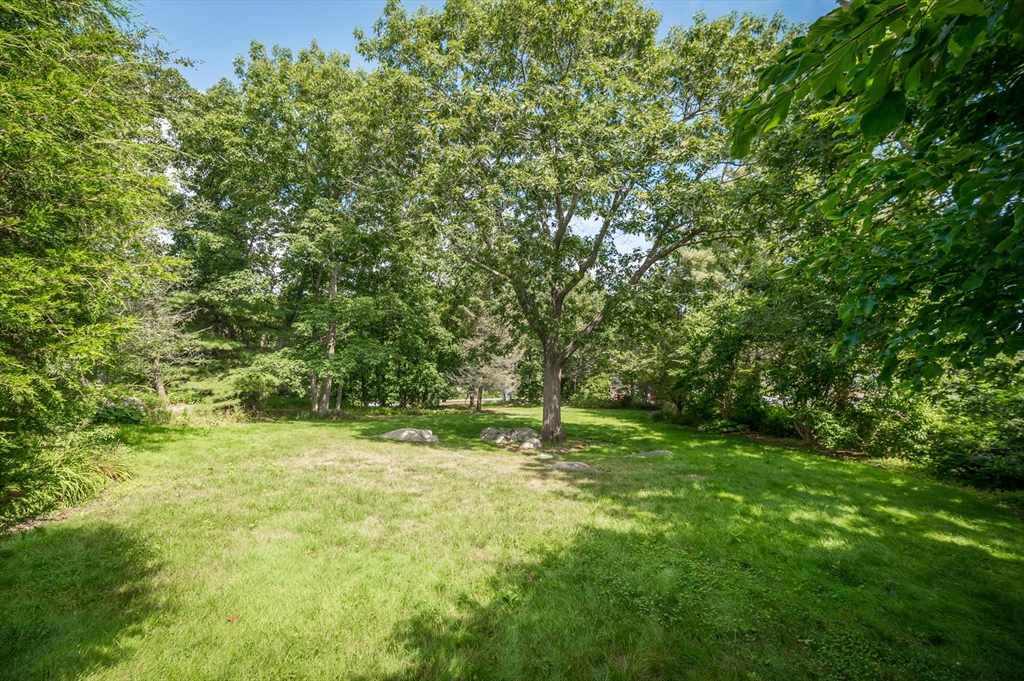 143 Thatcher Road Gloucester, MA 01930 - Photo 18 of 23 a fire hydrant in the middle of a field