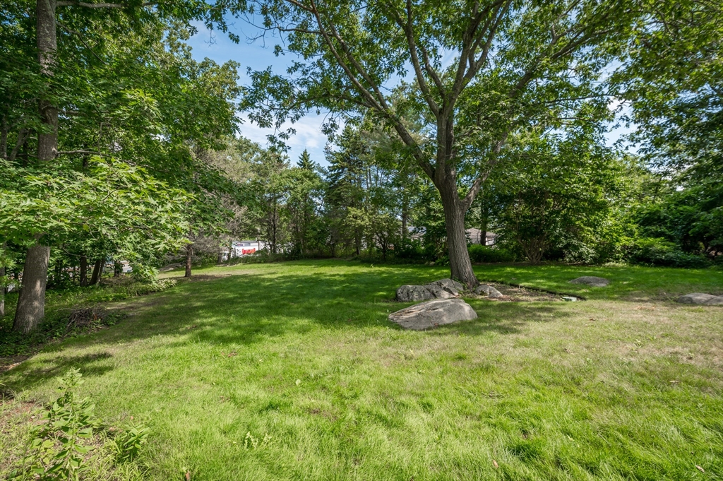 143 Thatcher Road Gloucester, MA 01930 - Photo 19 of 23 a backyard of a house with lots of green space