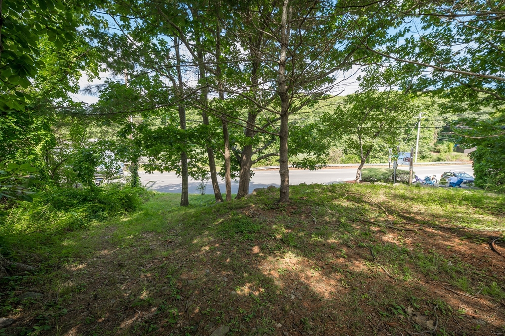 143 Thatcher Road Gloucester, MA 01930 - Photo 20 of 23 a view of backyard with tree