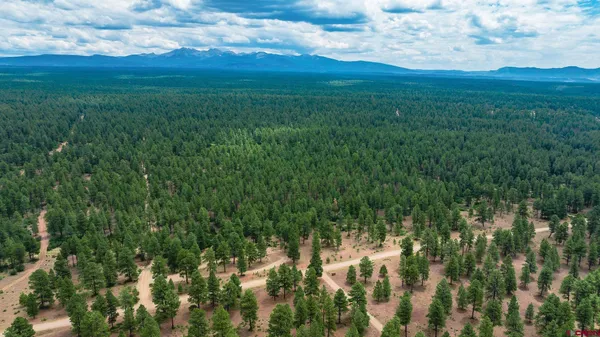 $750,000 | 36794 Road T 7 Mancos Co 81328, Mancos, CO 81328