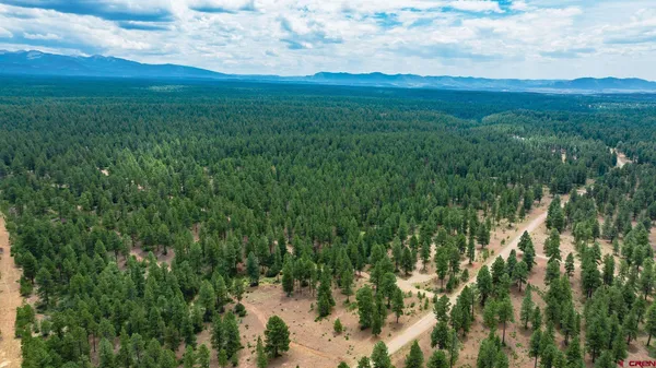 $750,000 | 36794 Road T 7 Mancos Co 81328, Mancos, CO 81328