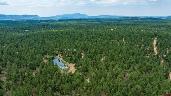 $750,000 | 36794 Road T 7 Mancos Co 81328, Mancos, CO 81328