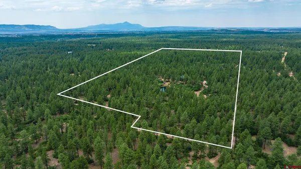 $750,000 | 36794 Road T 7 Mancos Co 81328, Mancos, CO 81328