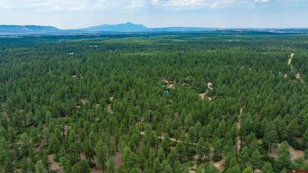 $750,000 | 36794 Road T 7 Mancos Co 81328, Mancos, CO 81328