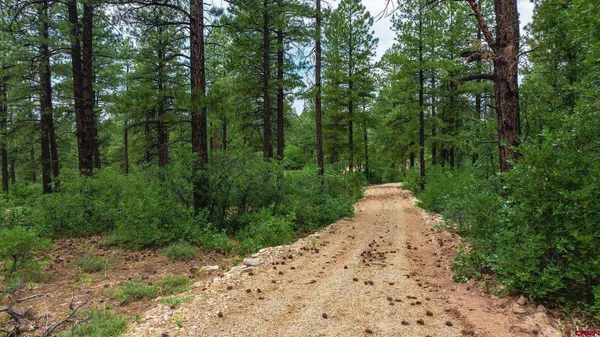 $750,000 | 36794 Road T 7 Mancos Co 81328, Mancos, CO 81328
