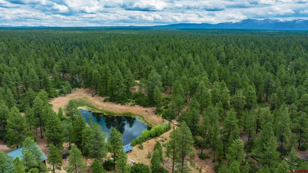 $750,000 | 36794 Road T 7 Mancos Co 81328, Mancos, CO 81328