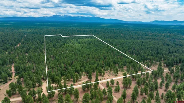 $750,000 | 36794 Road T 7 Mancos Co 81328, Mancos, CO 81328