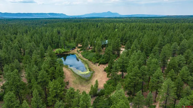 a aerial view of a house with a yard and lake view
