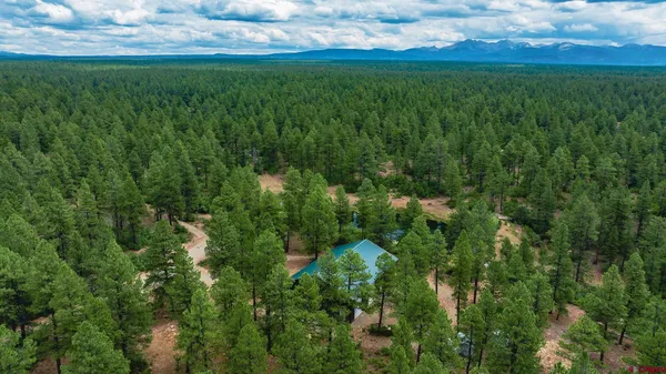 $750,000 | 36794 Road T 7 Mancos Co 81328, Mancos, CO 81328