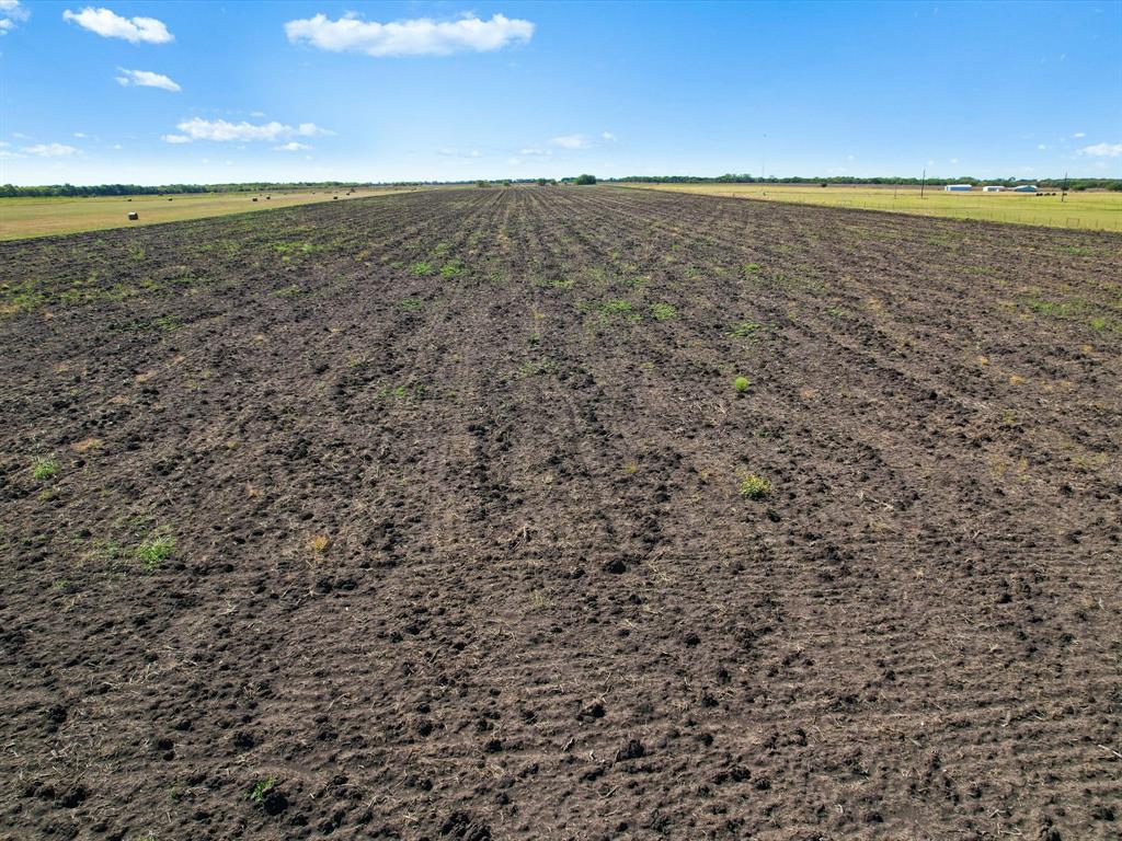 Tbd Tbd Fm-697 Highway Whitewright, TX 75491 - Photo 15 of 16