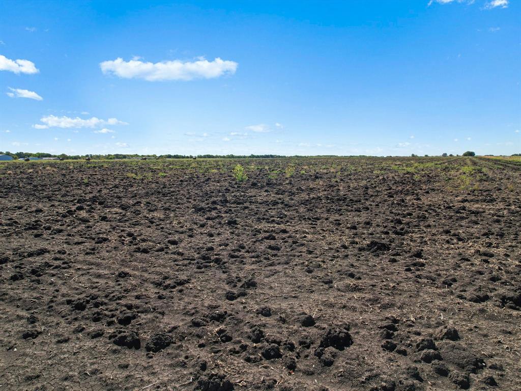 Tbd Tbd Fm-697 Highway Whitewright, TX 75491 - Photo 16 of 16