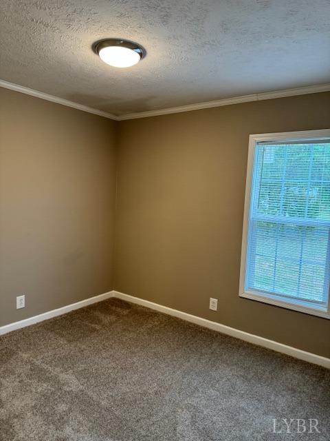 2079 Nursery Road Pamplin, VA 23958 - Photo 14 of 15 an empty room with a window