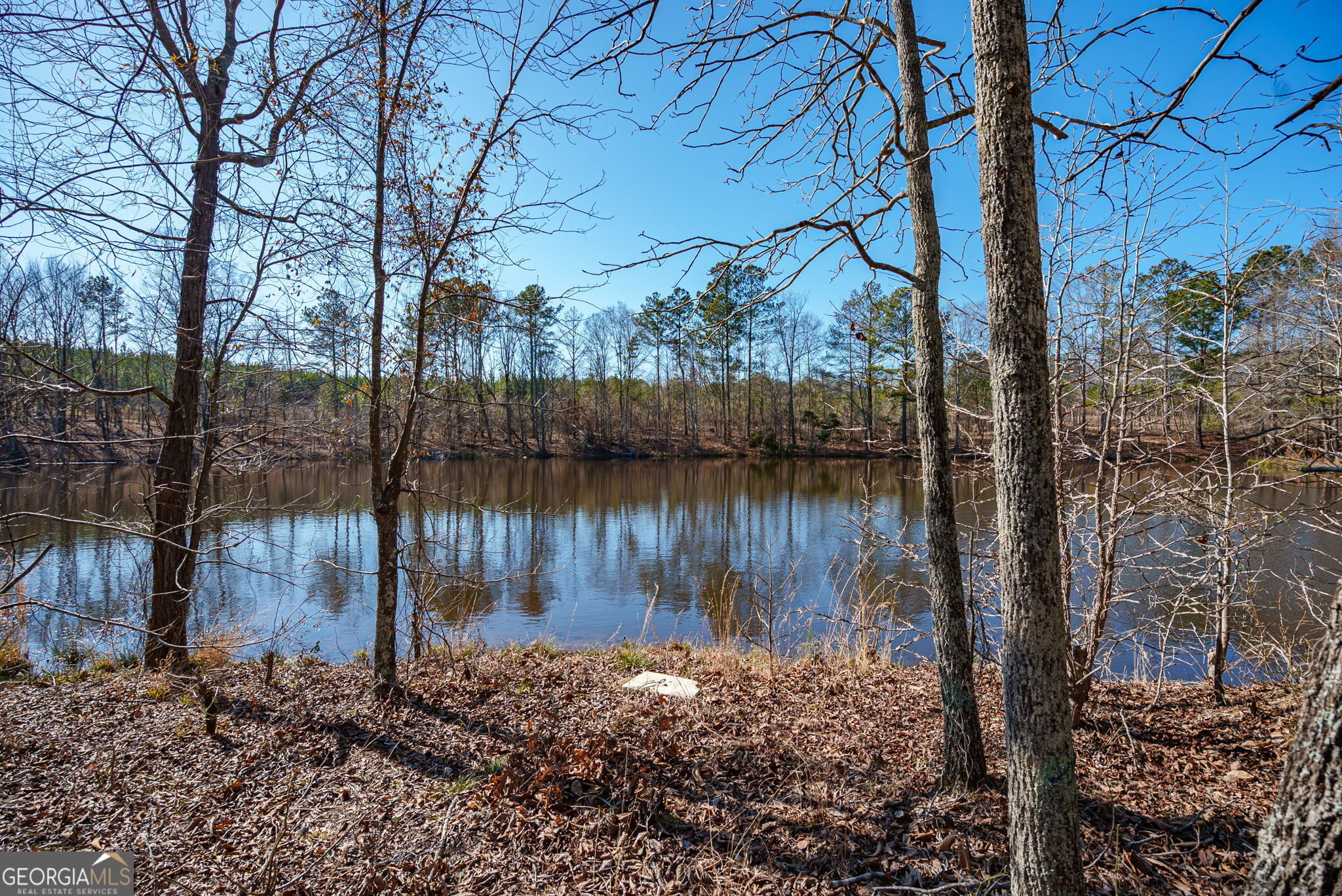 0 Warren Road White Plains, GA 30678 - Photo 17 of 37
