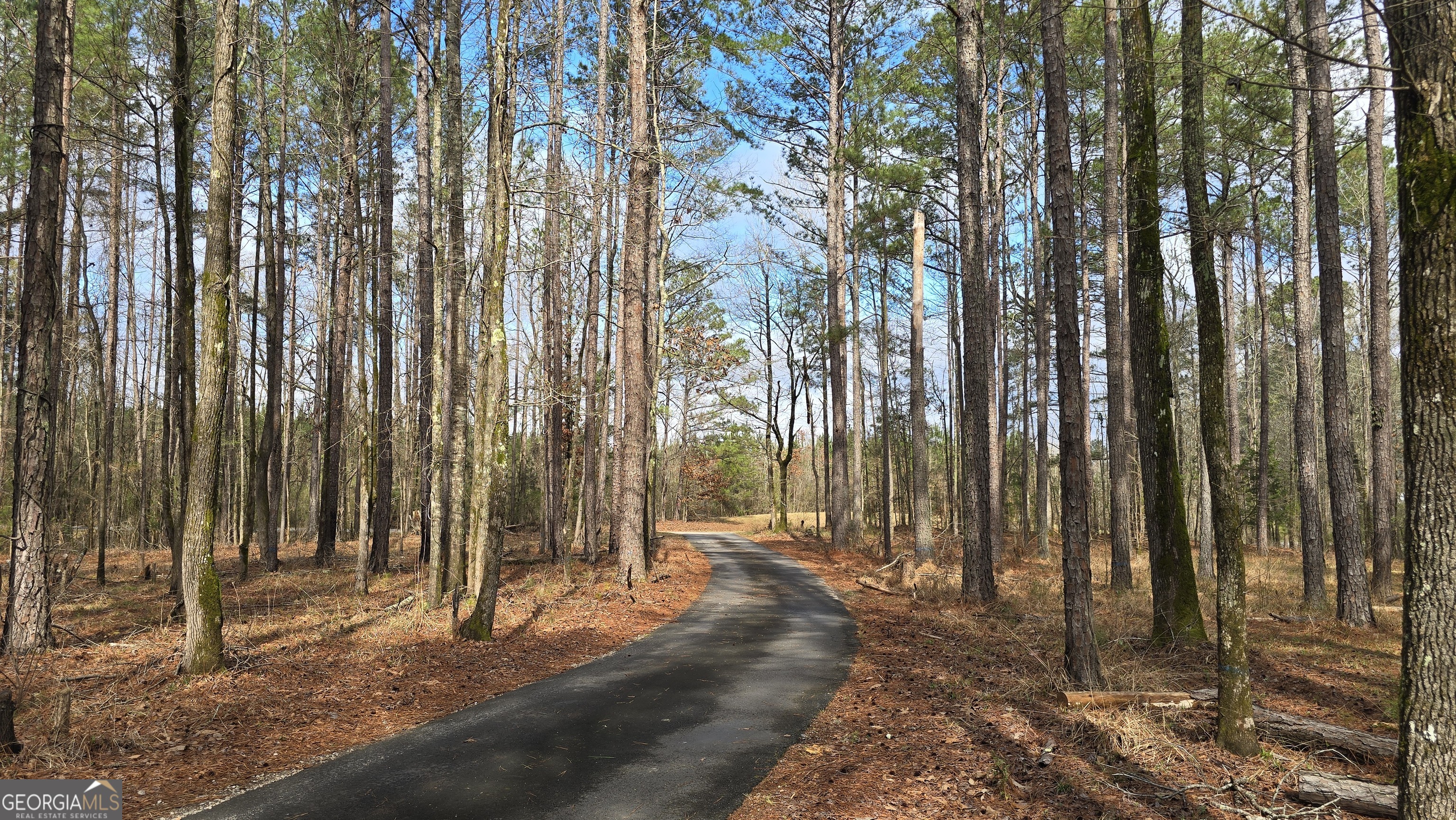 7581 Old Zebulon Road Molena, GA 30258 - Photo 3 of 79