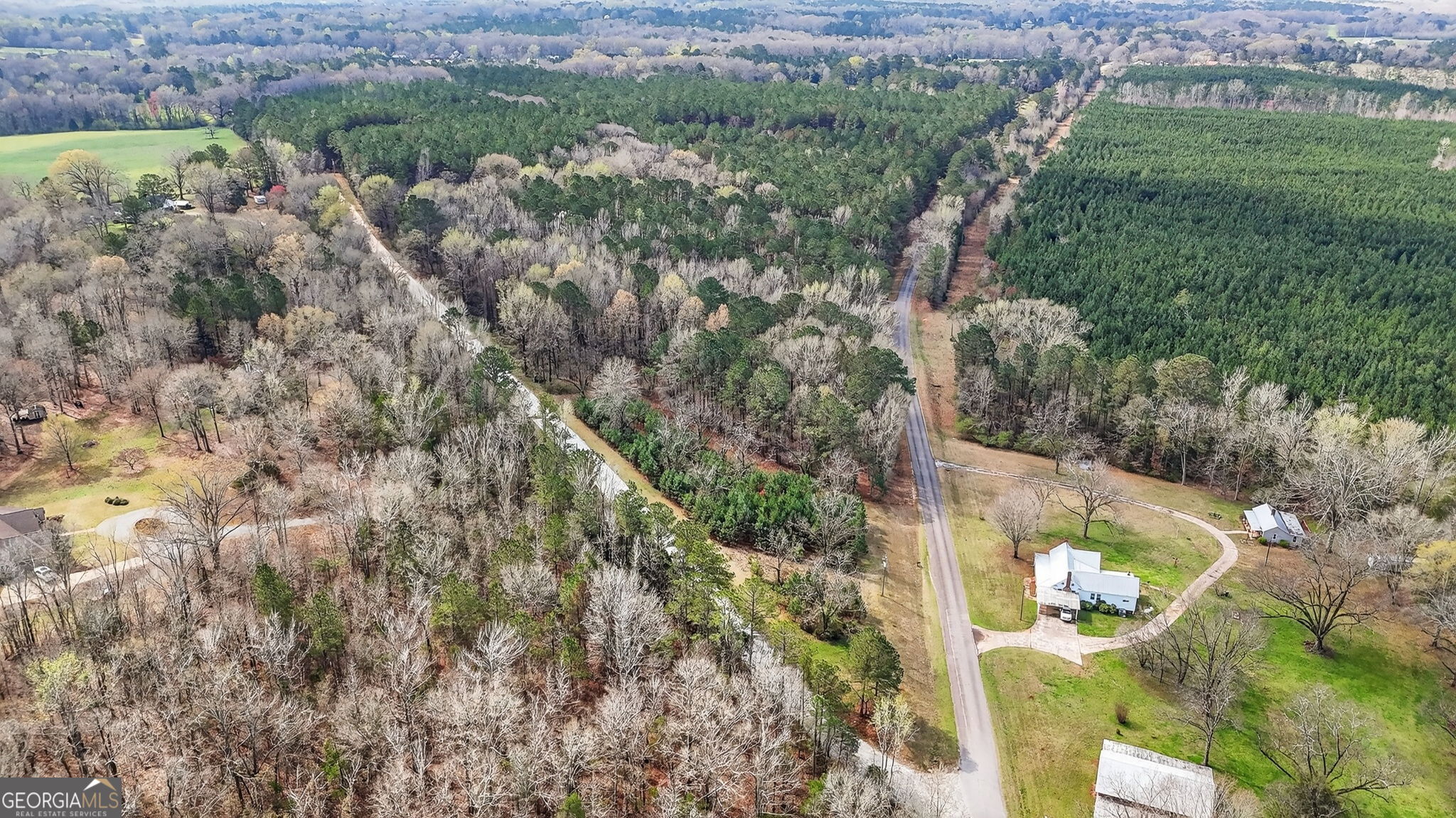 7581 Old Zebulon Road Molena, GA 30258 - Photo 71 of 79 an aerial view of residential houses with outdoor space and trees